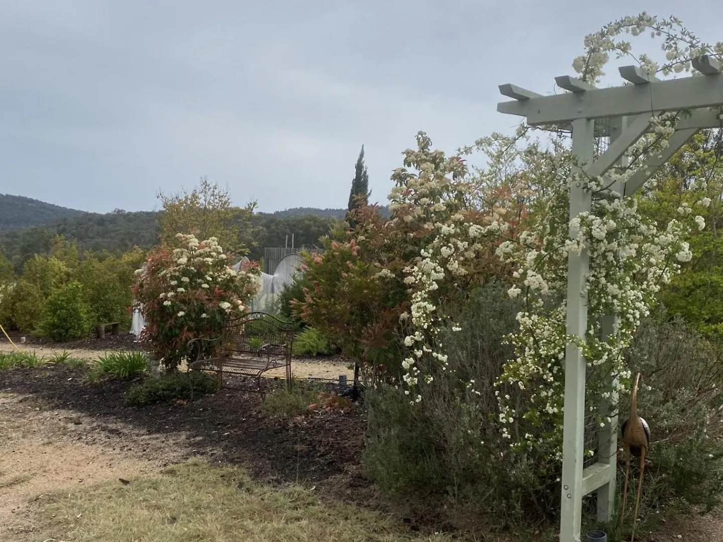 Back Creek Estate Cottage Severnlea