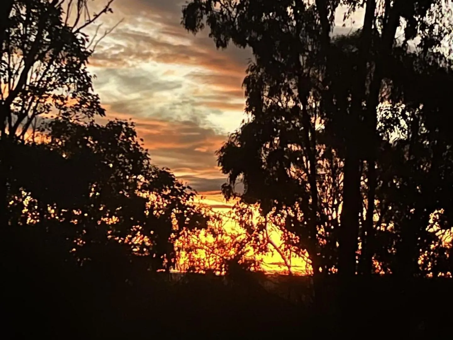 Holiday home Back Creek Estate Cottage Severnlea Australia